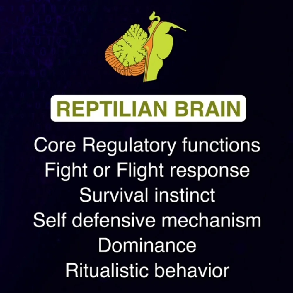 Reptilian Brain