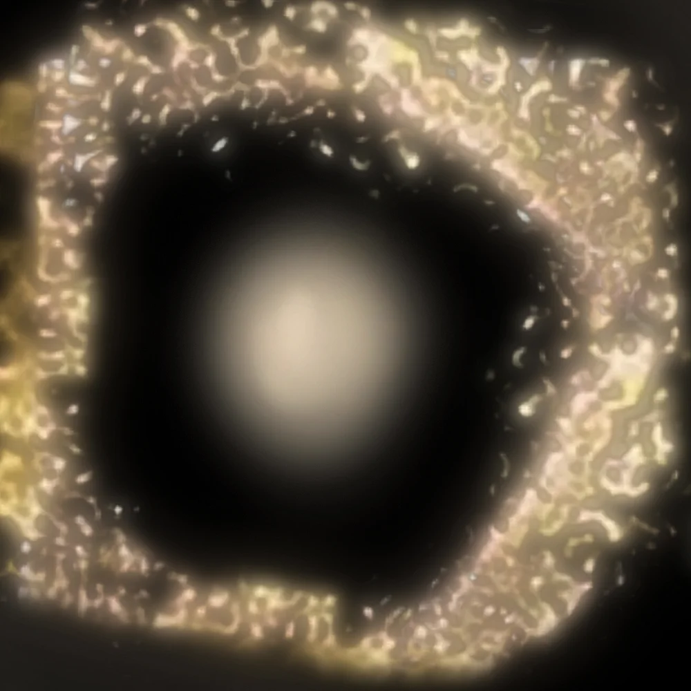 Water crystal formed with words of hate