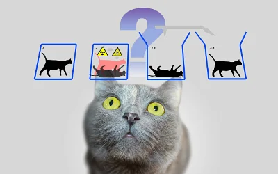 Quantum Observation
