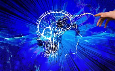 7 Types of Brainwaves