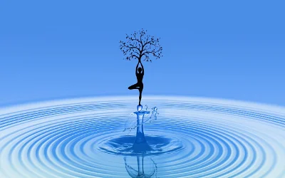 What is Consciousness?